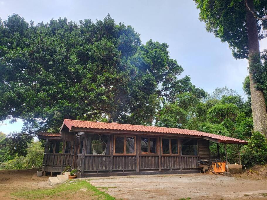 una pequeña casa de madera con un árbol en el fondo en Cozy cabin with fireplace en San José