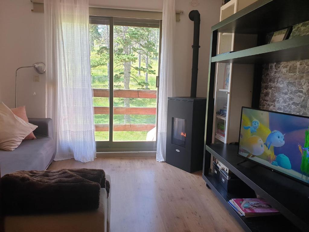 TV a/nebo společenská místnost v ubytování Port del Comte Apartment - A PIE DE PISTA