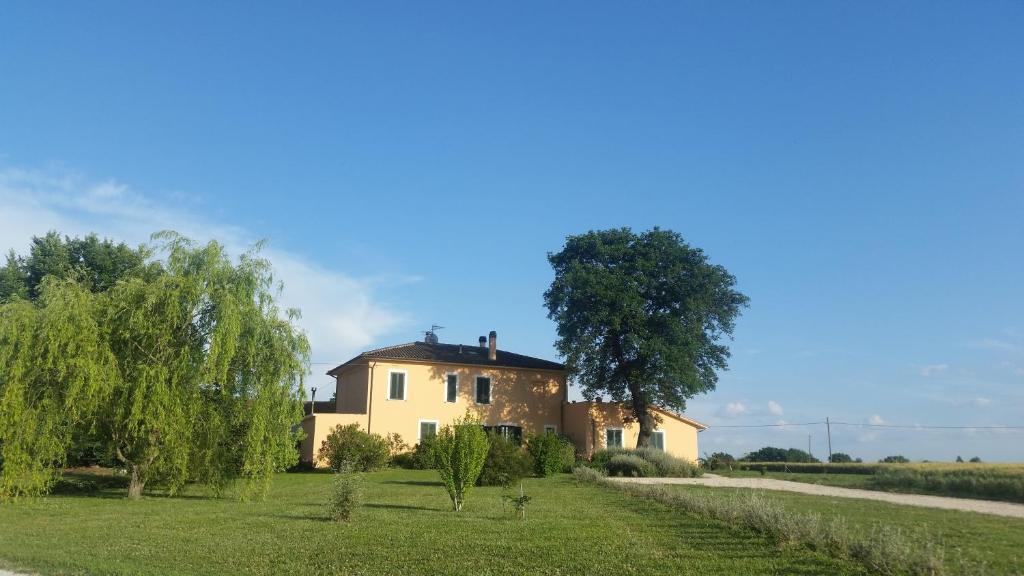 una casa en medio de un campo con un árbol en B&B Le Rose en Spello