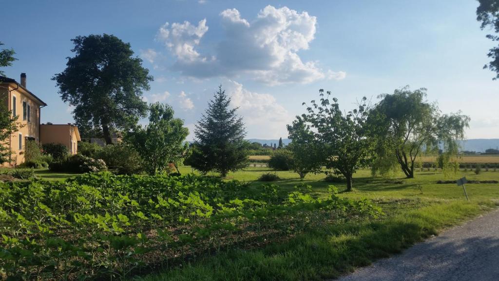 Příroda nedaleko bed and breakfast