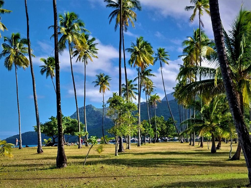 MOOREA - O Motu - photo 5 - Moorea, Polynésie
