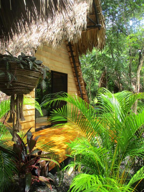 Zahrada ubytování Cabinas de Lou Eco Lodge TAMARINDO