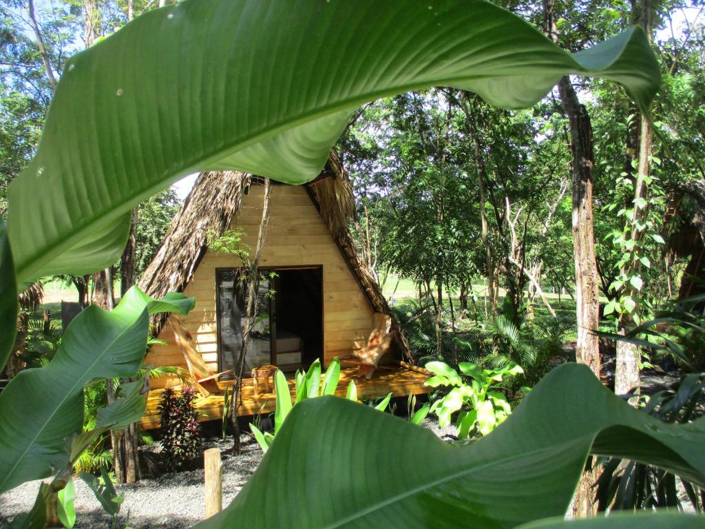 Zahrada ubytování Cabinas de Lou Eco Lodge TAMARINDO