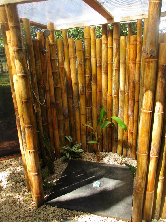 Zahrada ubytování Cabinas de Lou Eco Lodge TAMARINDO