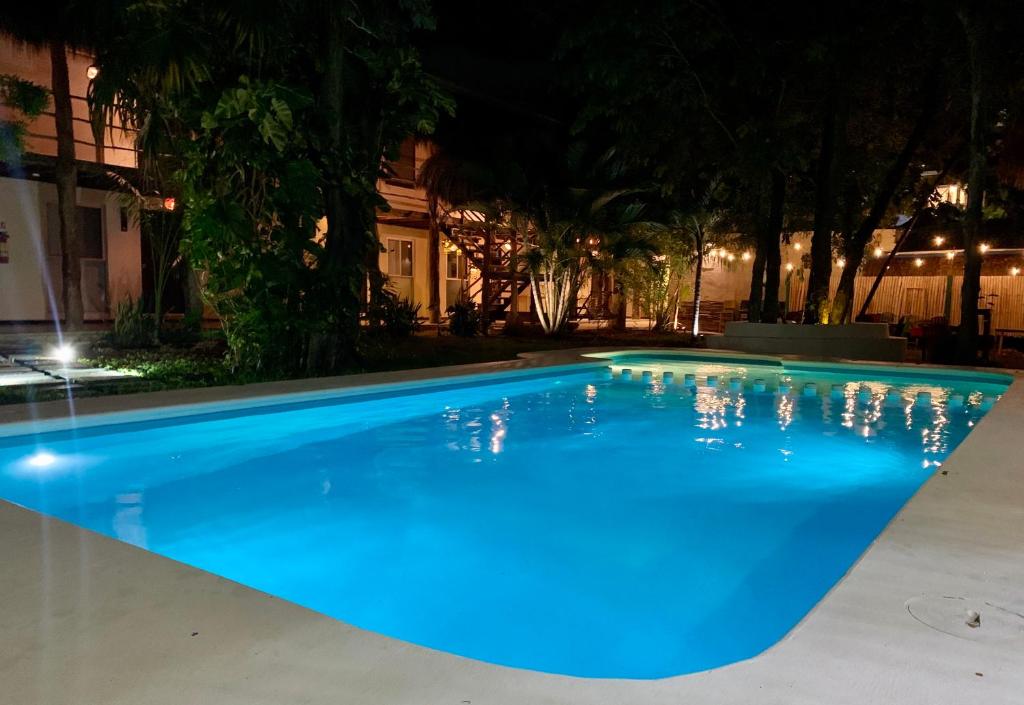 una gran piscina azul por la noche en Ammare Hotel Boutique en Playa del Carmen