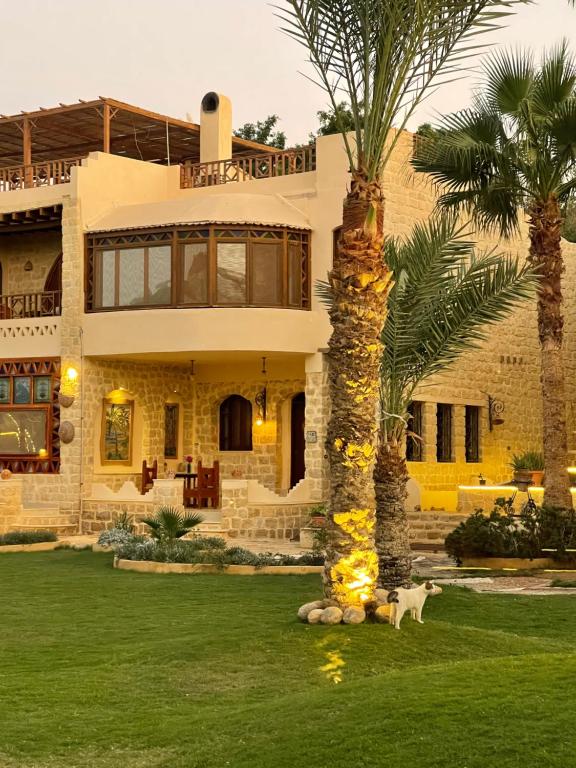 a cat standing in front of a house with a palm tree at palm shadow resort in Tunis