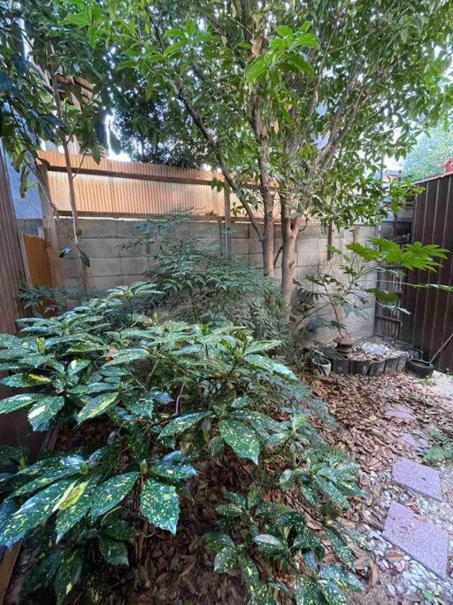 حديقة خارج 芙蓉居 日本庭園付き一戸建 【天下茶屋から徒歩8分】最大6名宿泊可能