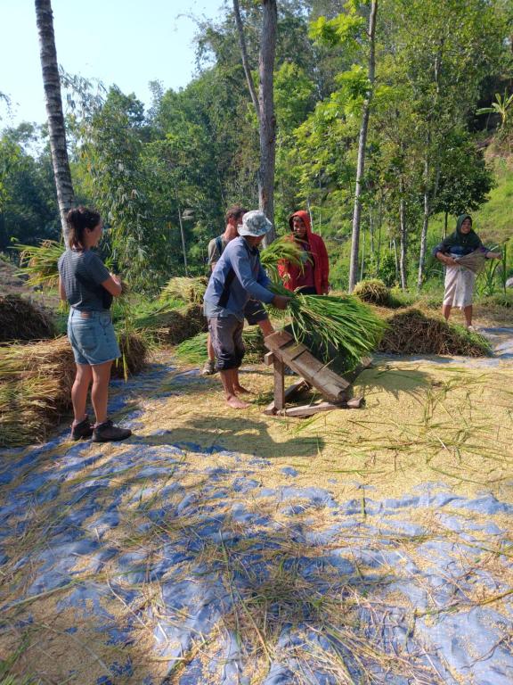 Tetebatu Sunrise Homestay - 14