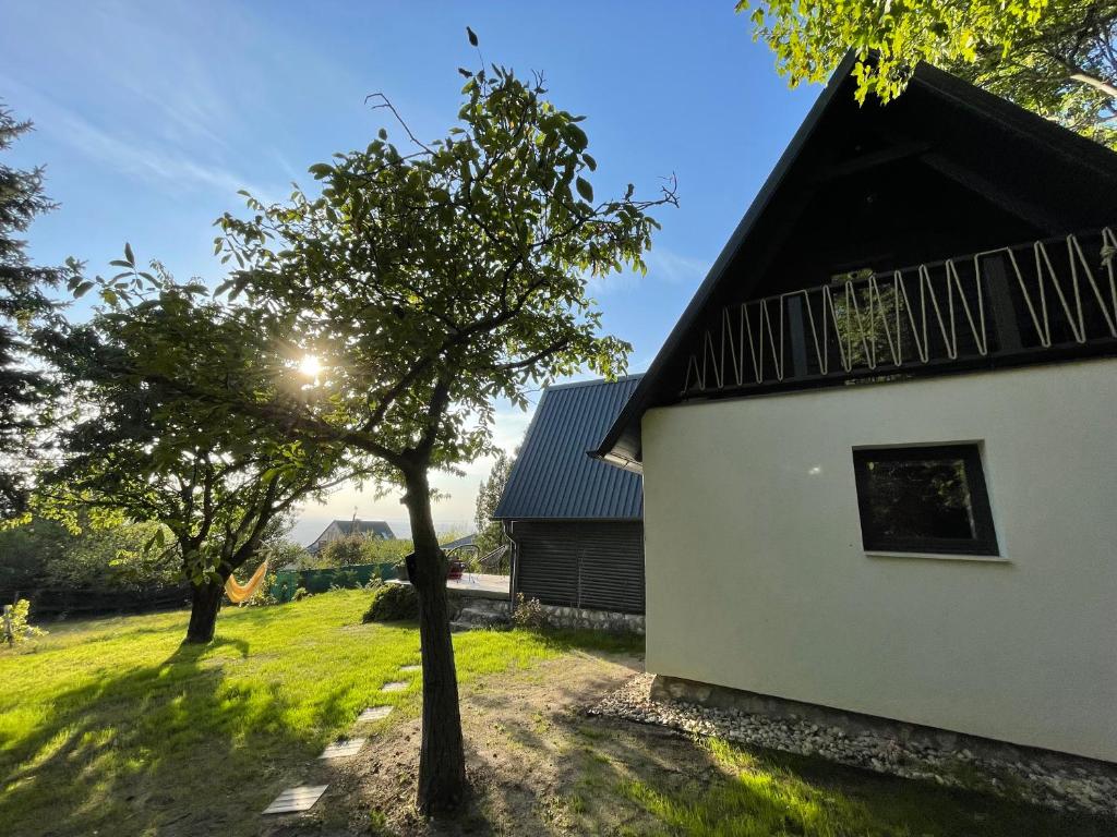 Zahrada ubytování Fotel home