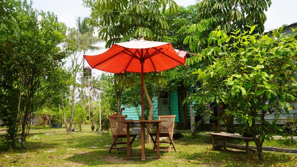 Glamping Upaakasa by Travelxism