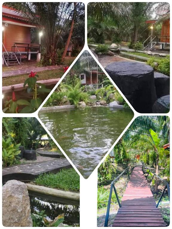 a collage of pictures of a park with a pond at สบายคันทรีรีสอร์ท ปากเมงSa-buy country resort Pak Meng in Sikao