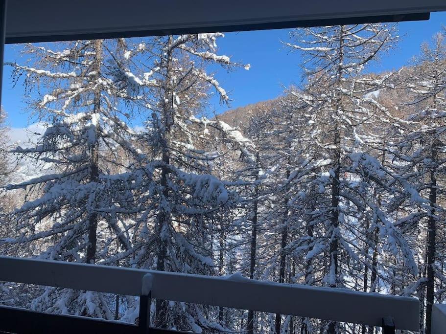 ヴァールにあるStudio Le floconの窓から雪に覆われた木々の景色を望む