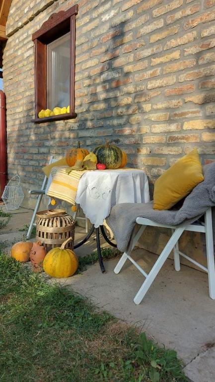Fotografie z fotogalerie ubytování Vila Stancevic wellness v destinaci Sremski Karlovci