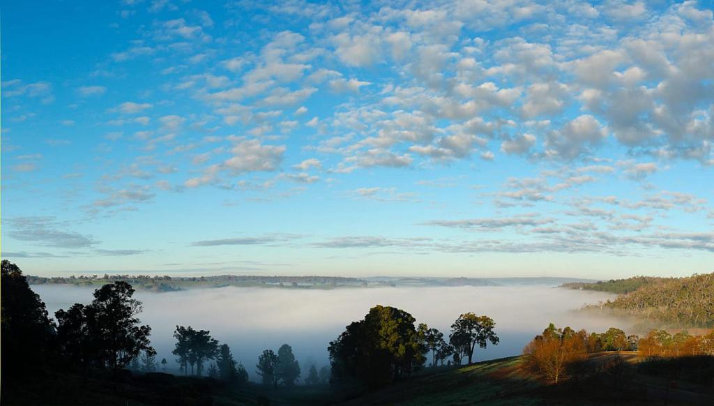 a view of a foggy valley with trees and clouds at Gorgeous apartment - pet friendly, stunning views in Bridgetown