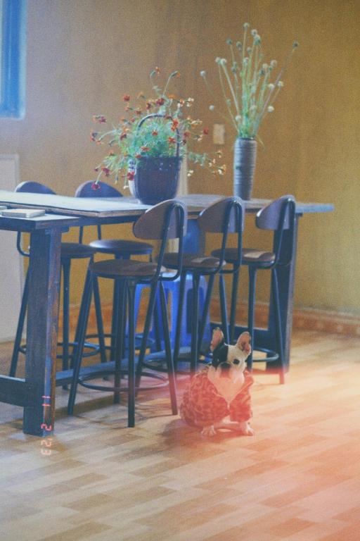 Fotografie z fotogalerie ubytování Maison de Hill Home v destinaci Dong Van
