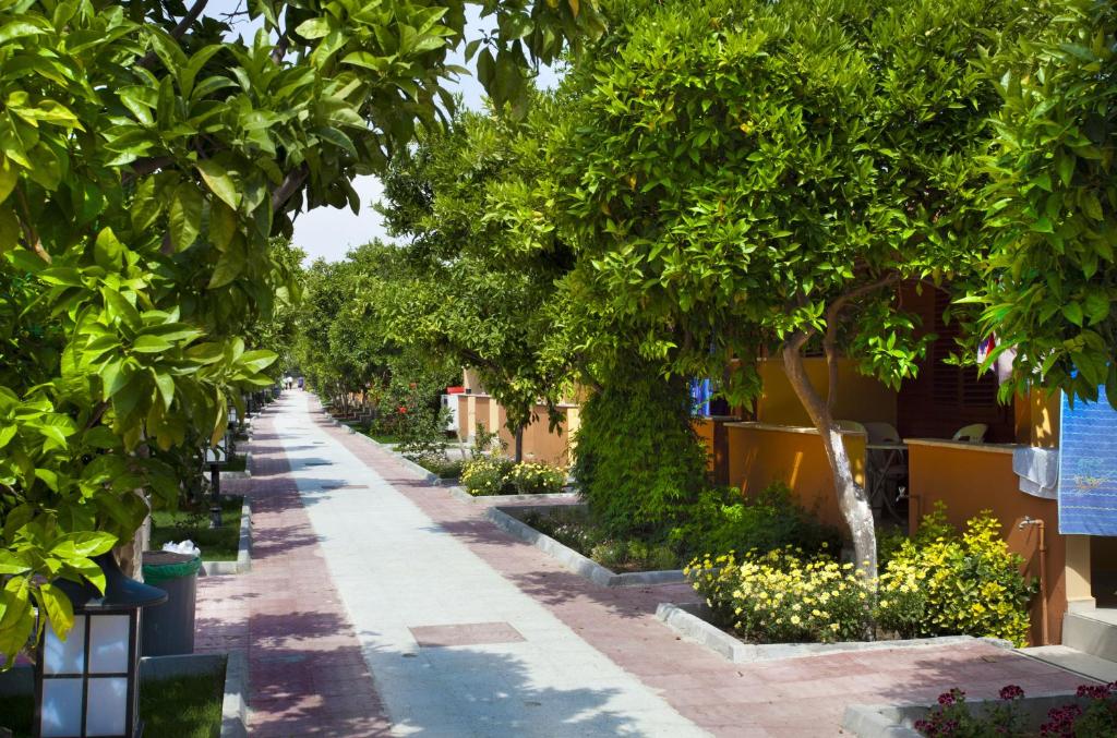 Zahrada ubytování Ozlem Garden Hotel
