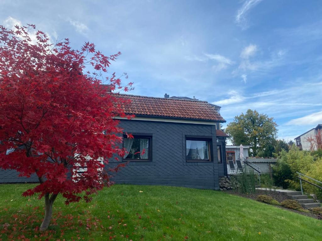 una casa con un árbol rojo en el patio en Ferienhäuschen Gartenblick, en Friedrichroda