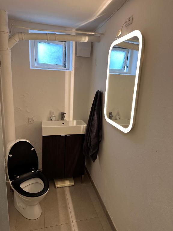 a bathroom with a toilet and a sink and a mirror at Nice apartment in Odense in Odense