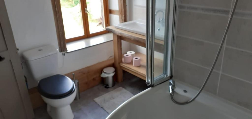 ein Bad mit einer Dusche, einem WC und einem Waschbecken in der Unterkunft Chambre d&#39;hôtes de puy faucher in Arrènes