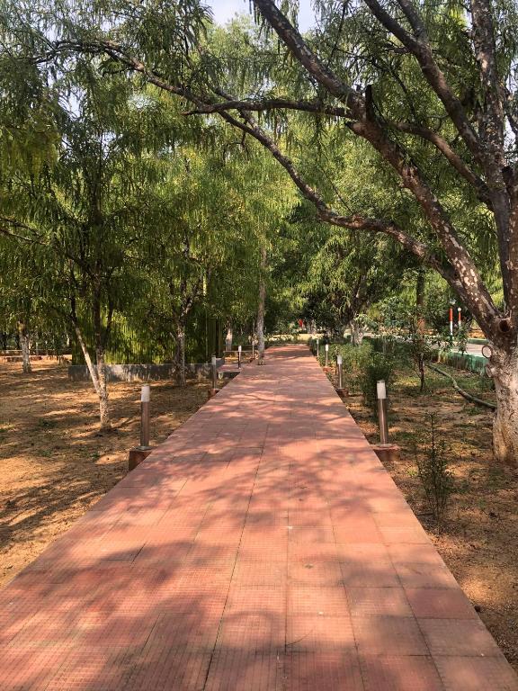 Matoshree Green Stay Sariska - Sala De Reina De Lujo