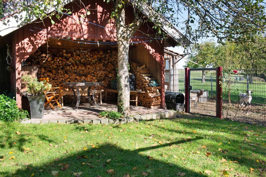 Zahrada ubytování Ferienhaus Reis