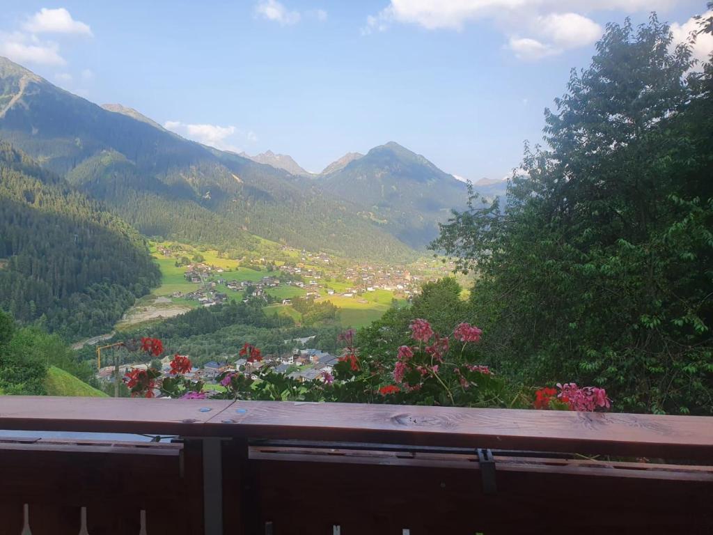 a view of a valley with mountains and flowers at Ferienwohnung Irene in Sankt Gallenkirch