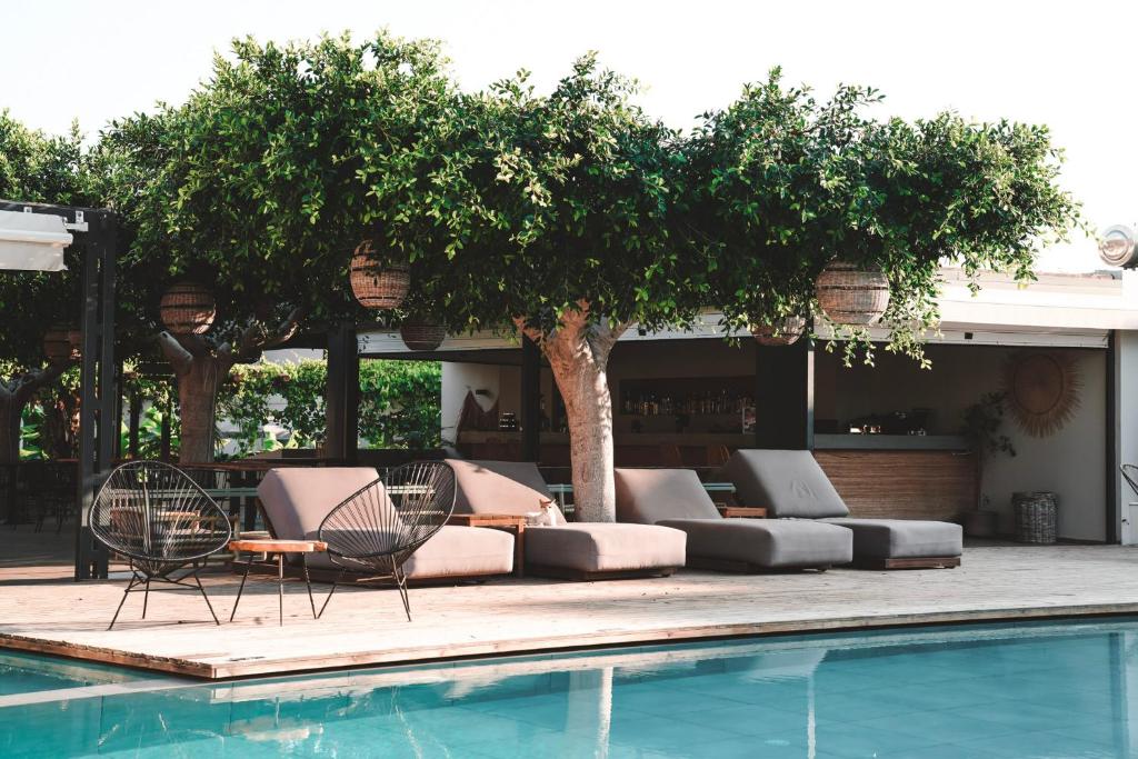 Gallery image of Ananea More Meni Kos ex More Meni Beach in Tigaki