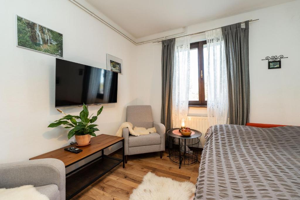 Televízia a/alebo spoločenská miestnosť v ubytovaní B&B Villa Sumrak Plitvica