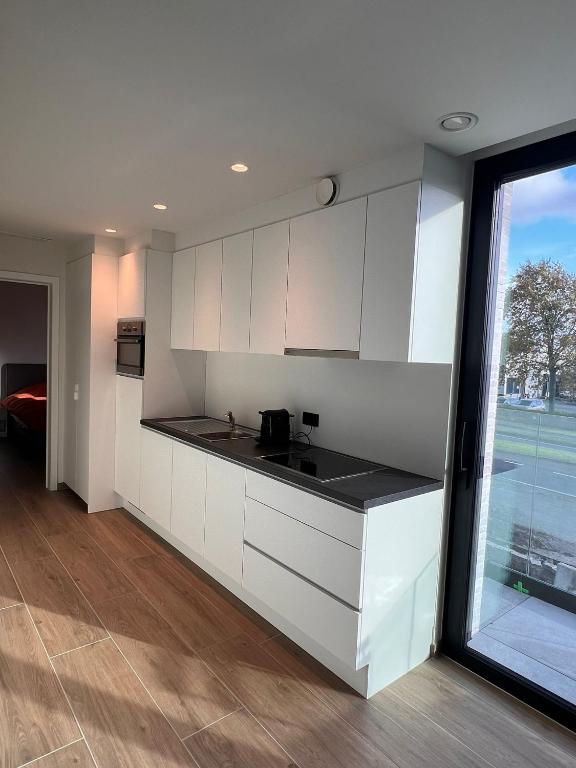 Kuchyň nebo kuchyňský kout v ubytování ApartHotel Dénia