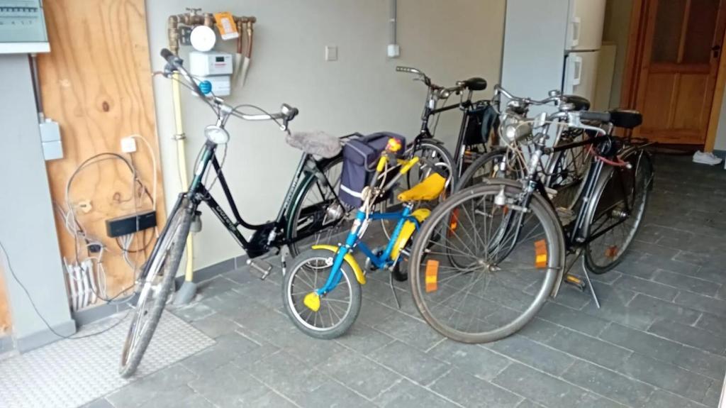 Jízda na kole v ubytování An's Vakantiehuisje nebo okolí