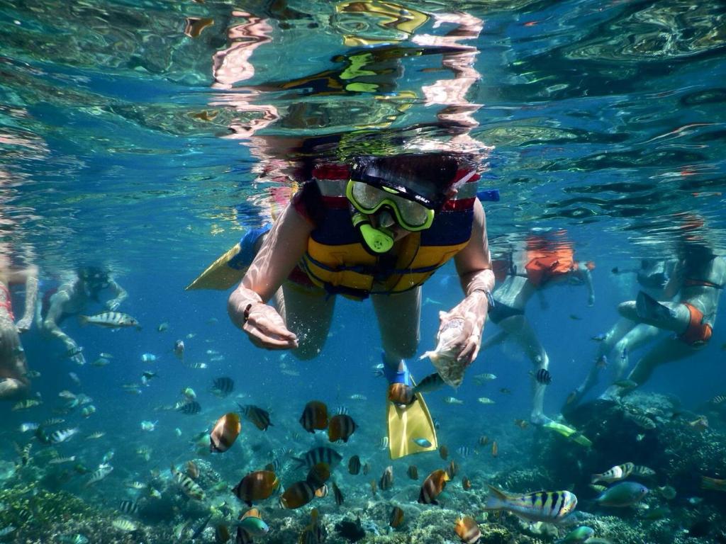 un grupo de personas nadando en el agua con peces en Creative Homestay, en Gili Trawangan