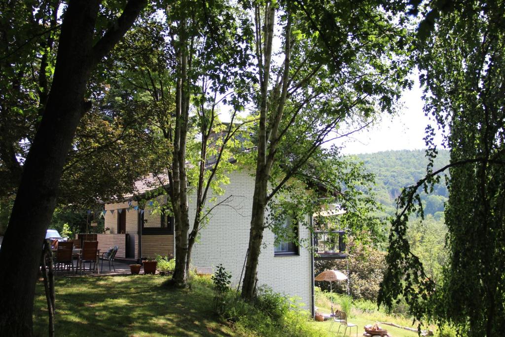 ein Haus auf einem Hügel mit Bäumen im Vordergrund in der Unterkunft Ferienhaus Auszeyt für Zwei in Waldeck