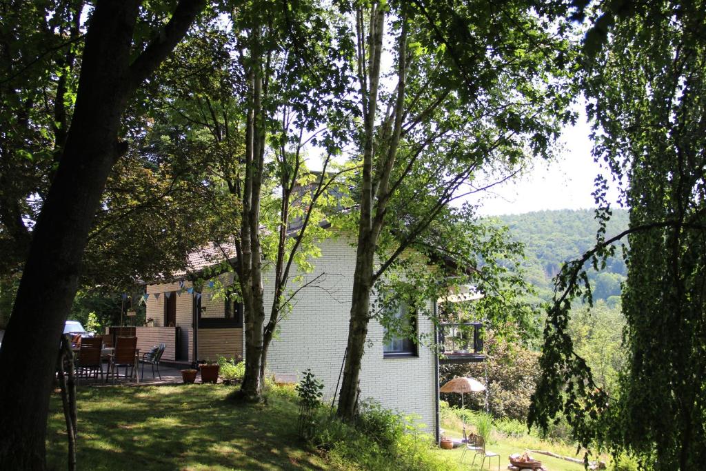 a house on a hill with trees in the foreground at Ferienhaus Auszeyt für Zwei in Waldeck