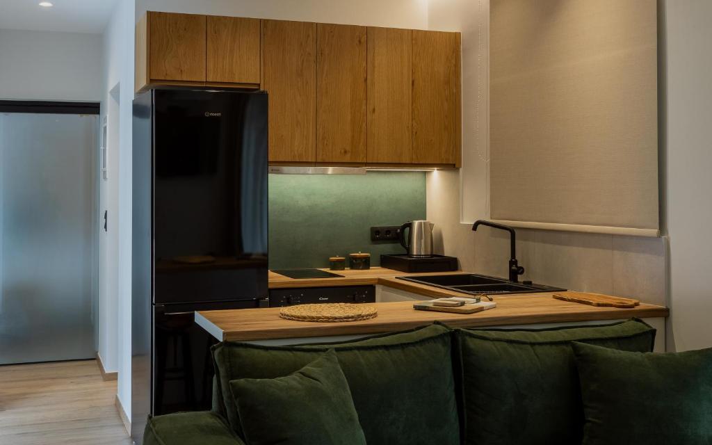 Kuchyň nebo kuchyňský kout v ubytování Eudaimonia - Luxury Apartment in Agrinio