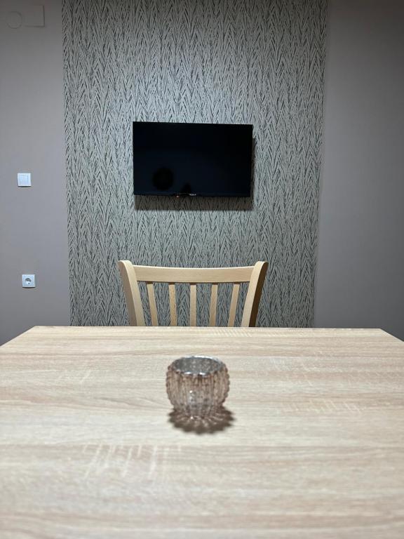 TV a/nebo společenská místnost v ubytování Apartman Pogled Arilje