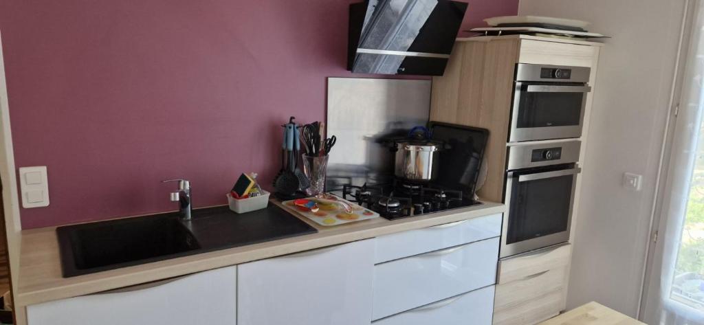een keuken met een wastafel en een fornuis top oven bij Maison spéciale JO in Villepinte