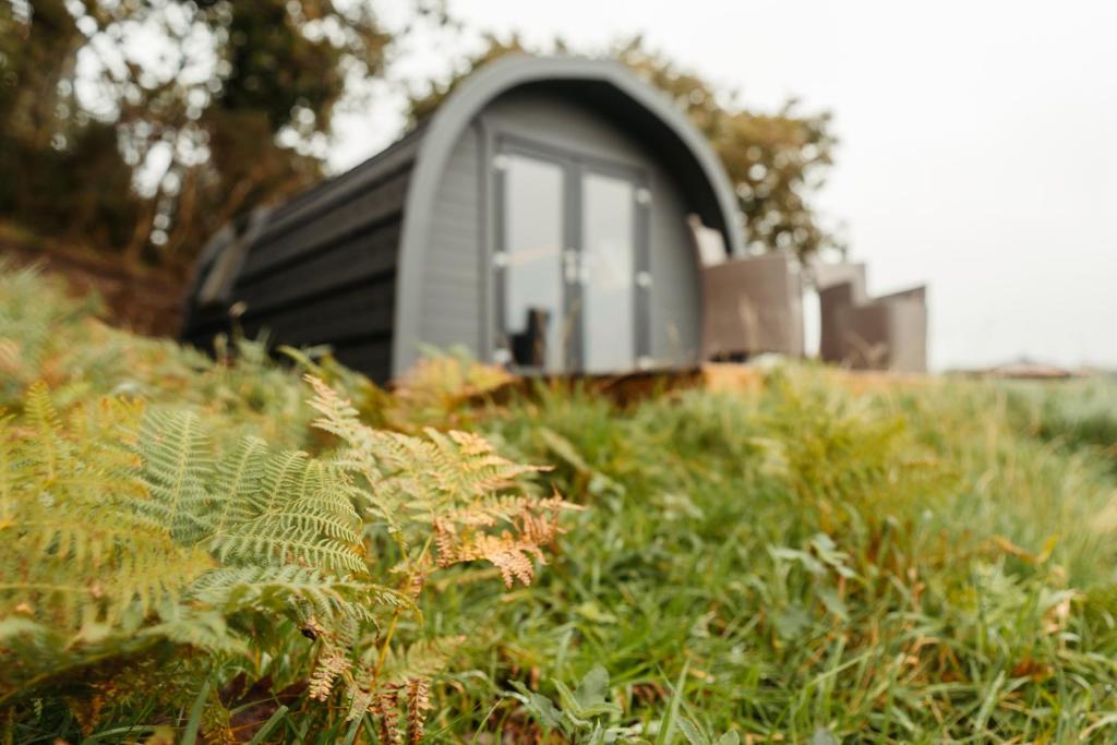 Zahrada ubytování Cefn Crib Cabins