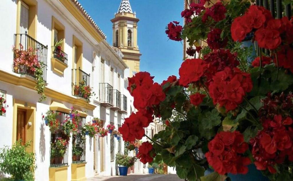 Beautiful Apartment in Estepona Center