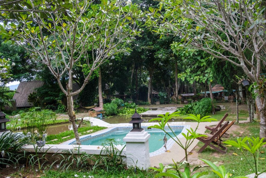 a swimming pool in a garden with trees at Shaya Suandoi Resort in Pai