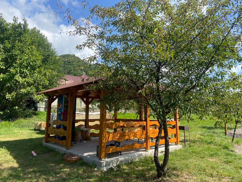 Zahrada ubytování Valea Regilor Happy Camp