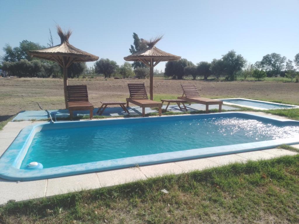 una piscina con sillas y sombrillas en un campo en CABAÑAS LA PILARICA en San Rafael