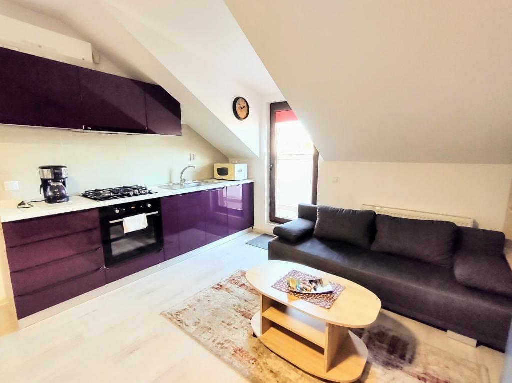 a living room with a black couch and a table at Simona Apartament Palas Mall in Iaşi