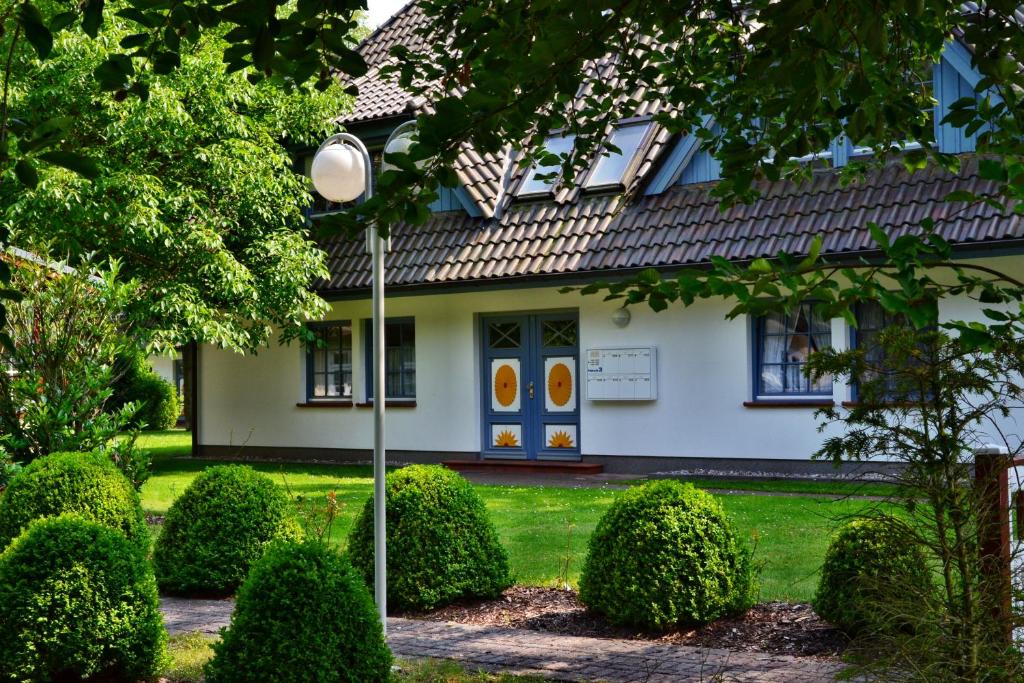 a house with a blue and yellow door and bushes at Eichenblick in Prerow