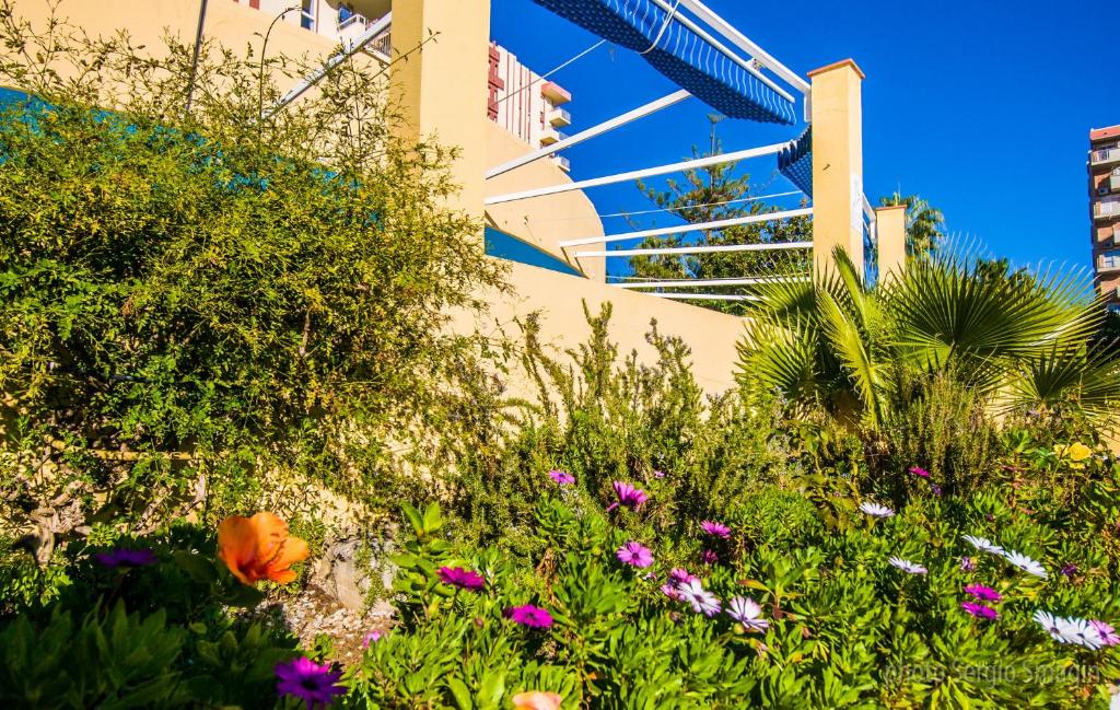Vonkajšia záhrada v ubytovaní 102 Estudio en Jupiter Apartmentos - Piscina y Playa - Excelente Ubicación