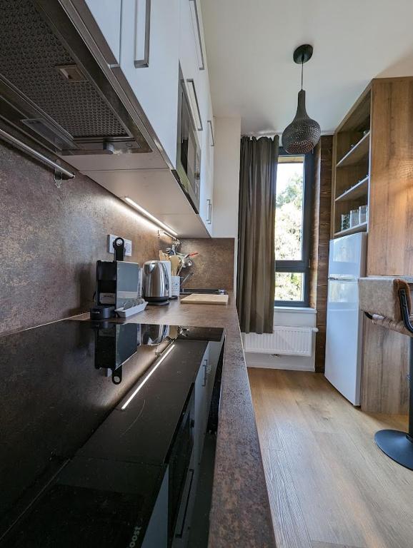 Kuchyň nebo kuchyňský kout v ubytování Zadov - Apartmán Srdce Šumavy