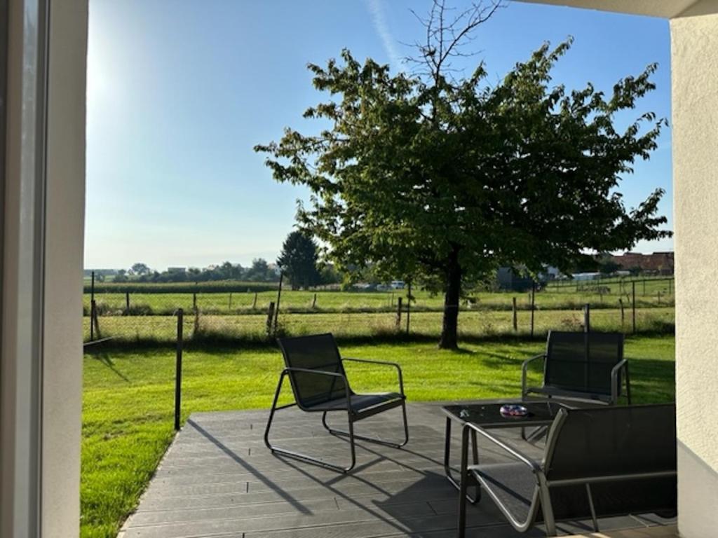 2 Stühle und ein Tisch auf einer Terrasse mit einem Baum in der Unterkunft Le Nid Du Moulin in Batzendorf