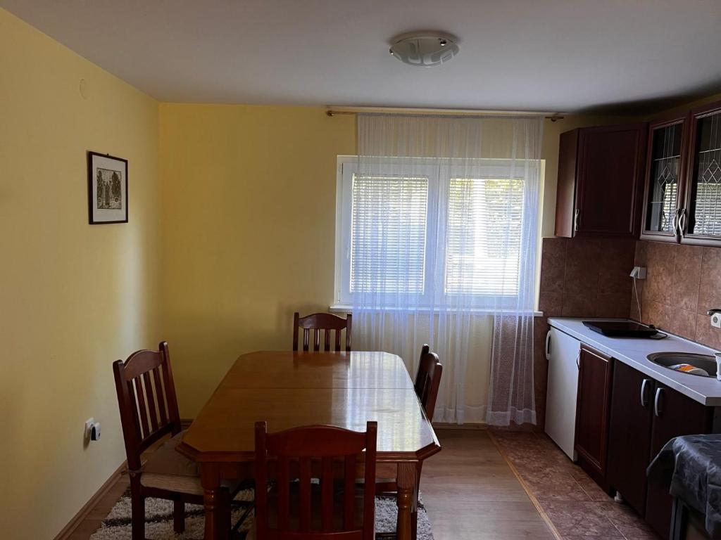 Kuchyň nebo kuchyňský kout v ubytování Lepa kuca Tara Kremna