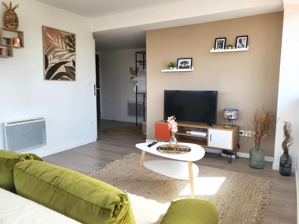 a living room with a couch and a tv at BD MINIMES - Parking Free - Proche gare - Vue in Toulouse
