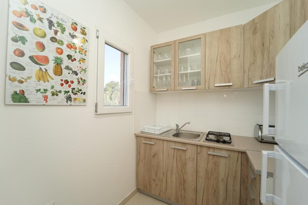 Kuchyň nebo kuchyňský kout v ubytování SVEMA APARTMAN