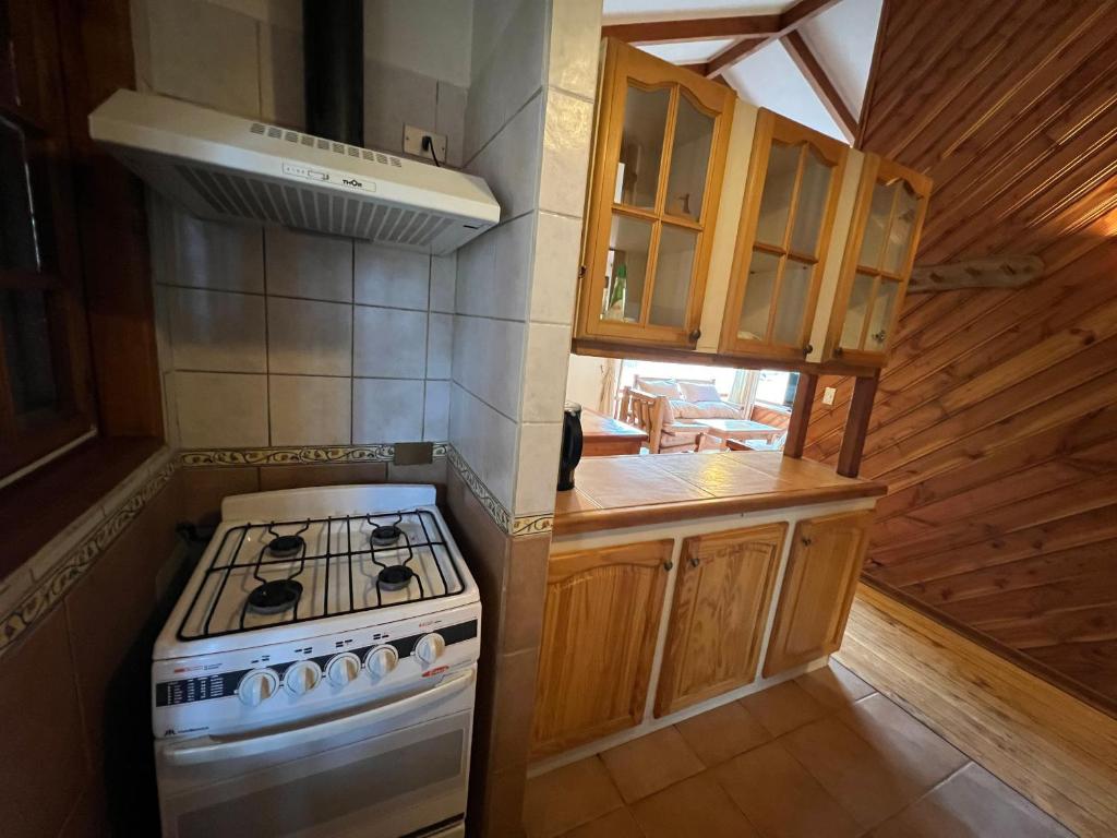 Kuchyň nebo kuchyňský kout v ubytování Green Baker Lodge